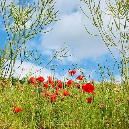 Appartamento Losenberg *