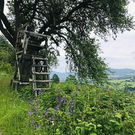 Losenberg Appartamento