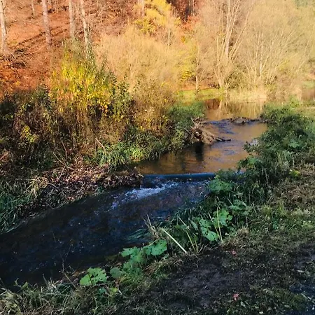 Lägenhet Losenberg Olsberg