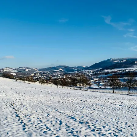 Apartman Losenberg *