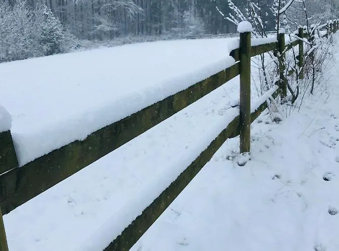 Losenberg Daire Olsberg