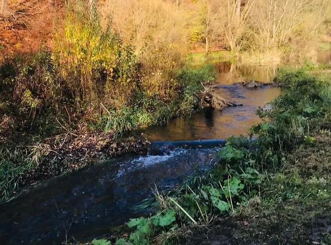 Apartman Losenberg Olsberg